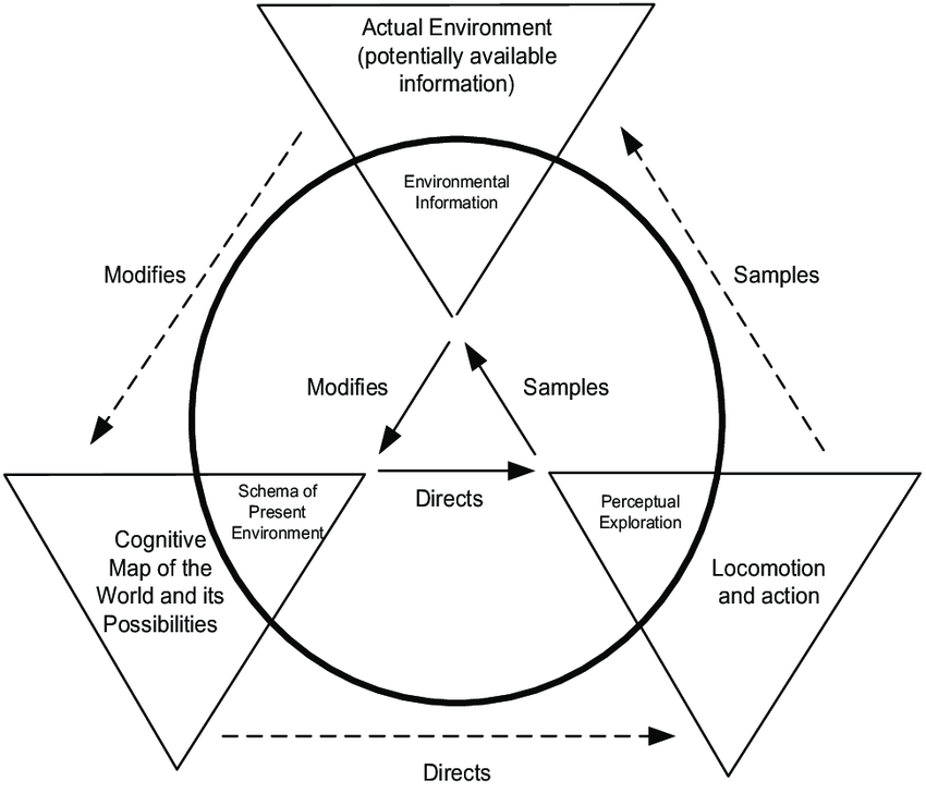 Il ciclo percezione-azione di Ulric Neisser da ResearchGate.net.