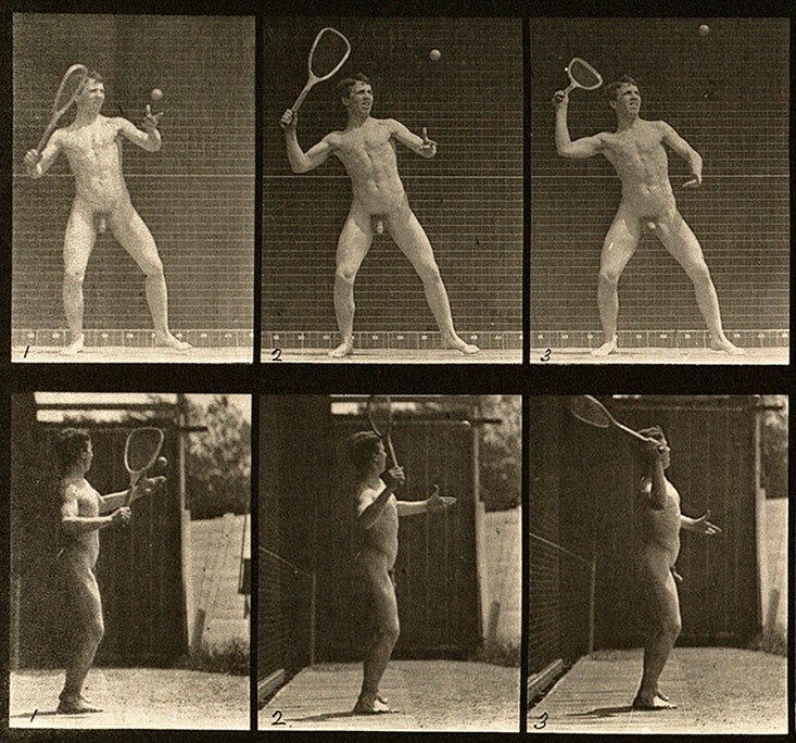 Eadweard Muybridge, Animal Locomotion: an Electro-Photographic Investigation of Connective Phases of Animal Movements, 1887. Fonte: publicdomainreview.org.