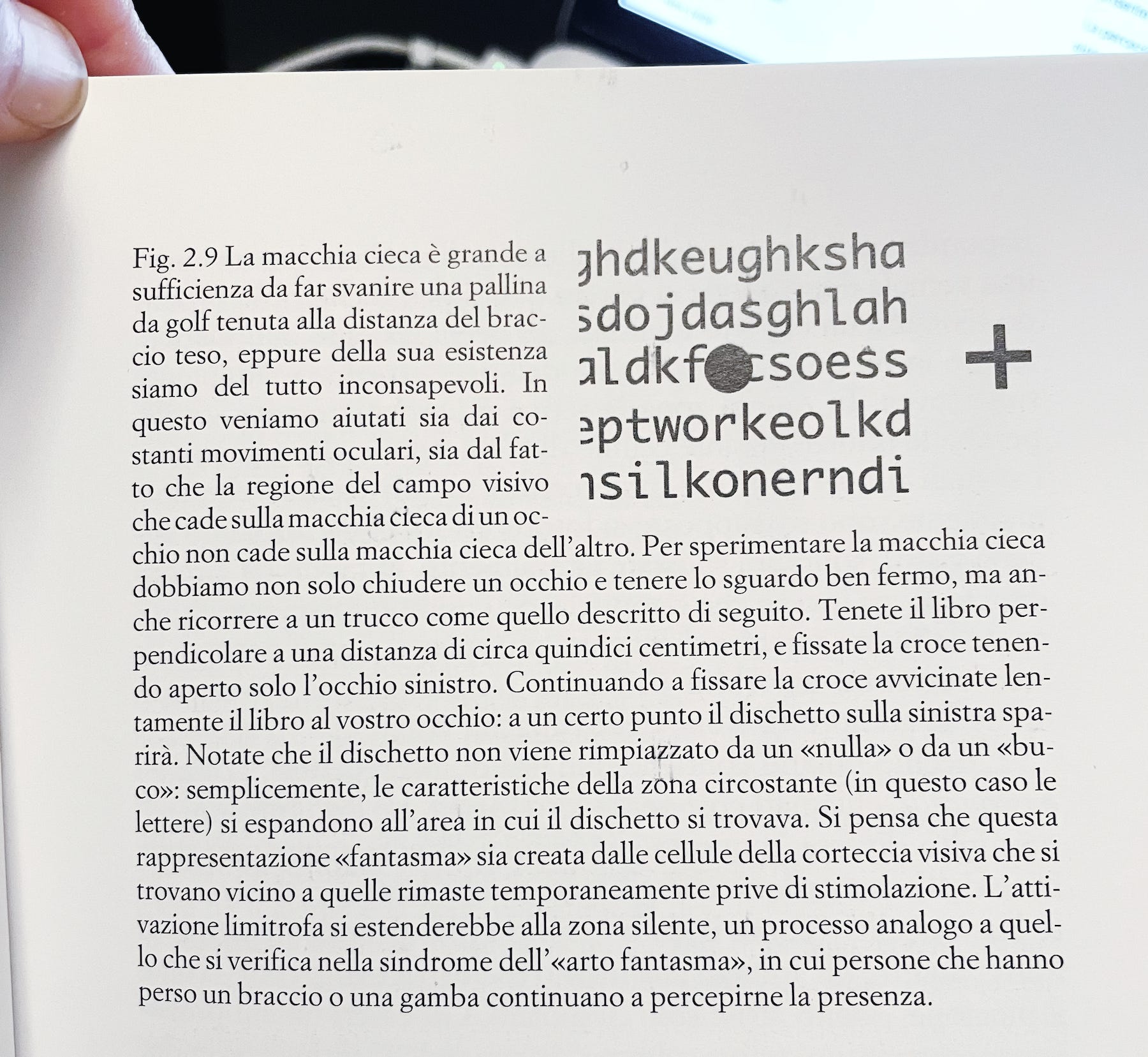 Paola Bressan, Il colore della luna. Come vediamo e perché. Laterza, 2019.