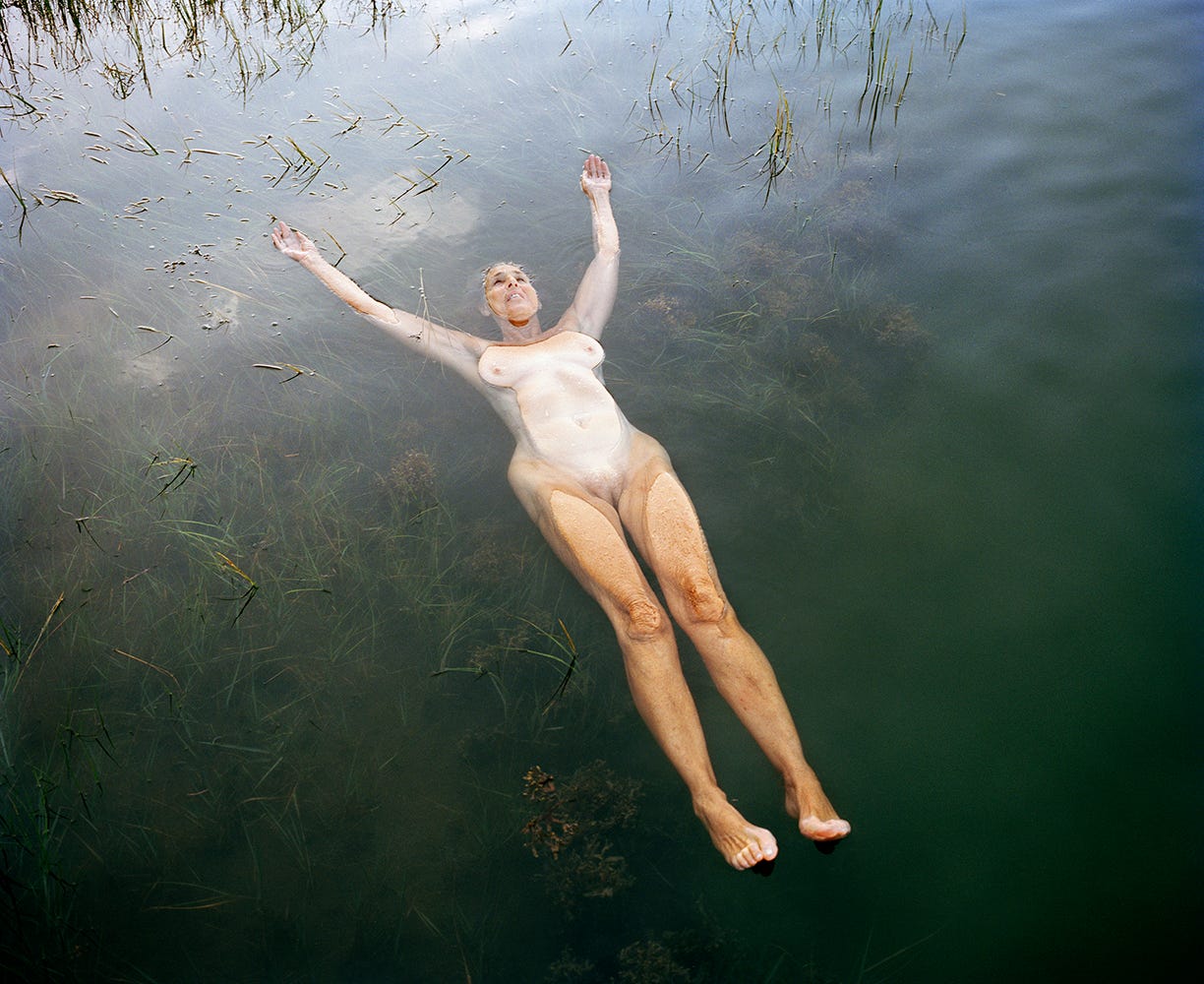 Jocelyn Lee, Bountiful. Quiltsa Pond, 2016. Fonte: jocelynleestudio.com.